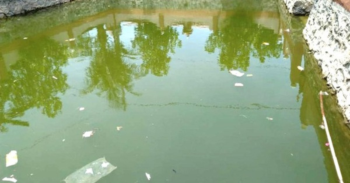 Tin tức trong ngày - Bé trai ngã xuống ao tử vong khi chạy theo mẹ đi mua hàng