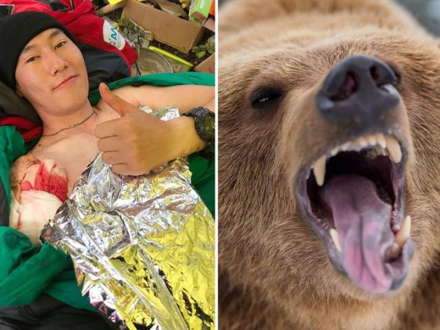 Thế giới - Nga: Gấu mò vào lều trại, lôi người vào rừng định ăn thịt?