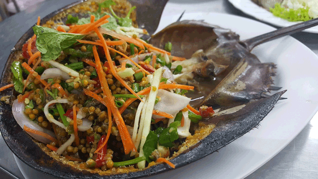 6. Yum Khai Maeng Da: Món salad này sử dụng cua móng ngựa, một sinh vật có họ với nhện và bọ cạp. Phần duy nhất có thể ăn được của loại cua này là trứng của nó. Tuy nhiên, một vài bộ phận của cua móng ngựa châu Á có chứa các chất độc hại, có thể gây chết người nếu không được sơ chế đúng cách và thực khách ăn phải phần có chứa độc tố.
