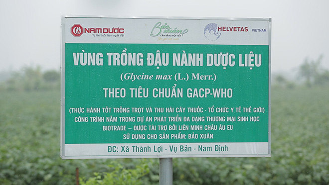 Vùng trồng đậu nành dược liệu theo tiêu chuẩn quốc tế của công ty Nam Dược