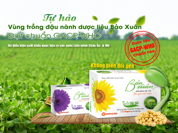 Bột mầm đậu nành có tác dụng gì? Nên hay không nên uống bột mầm đậu nành? - 3