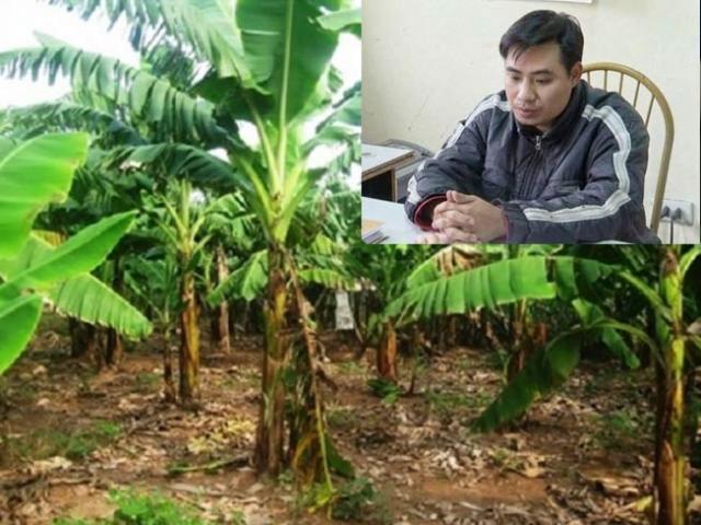 Pháp luật - Xử kín vụ xâm hại bé gái 9 tuổi ở huyện Chương Mỹ