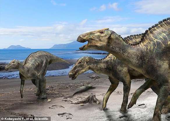 Amuysaurus là một trong số những nhóm khủng long phát triển và đa dạng nhất vào kỷ Phấn trắng muộn (Ảnh: Yoshitsugu Kobayashi)