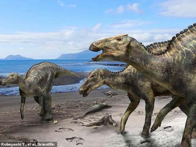 Thế giới - Bộ xương con vật dài 8m này là bằng chứng châu Á từng dính liền châu Mỹ