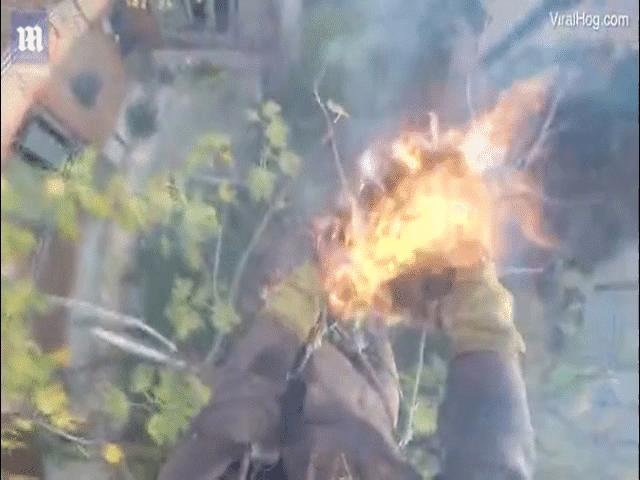 Phi thường - kỳ quặc - Đang làm việc trên cao, suýt hóa đuốc sống vì ngọn lửa "leo cây" thoăn thoắt