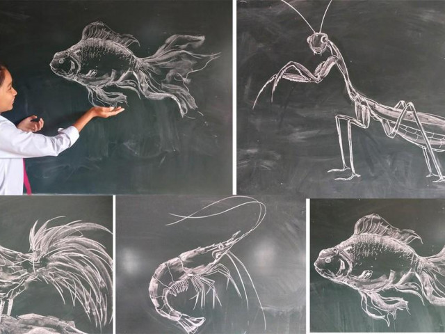 Bạn trẻ - Cuộc sống - Hút mắt tranh vẽ con vật bằng phấn của thầy giáo 8X