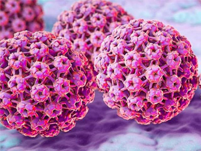 Sức khỏe đời sống - Loại virus gây 2 loại ung thư ám ảnh phụ nữ, có thực sự đáng sợ đến vậy?
