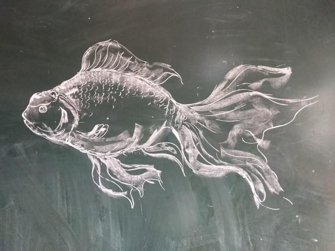 Những bức vẽ con vật bằng phấn trắng này đã nhận được 25 nghìn lượt thích và hàng trăm lượt bình luận, lượt chia sẻ. Trong đó nhiều bình luận khen ngợi như "đẹp thực sự", "đẹp vậy ai nỡ xoá".