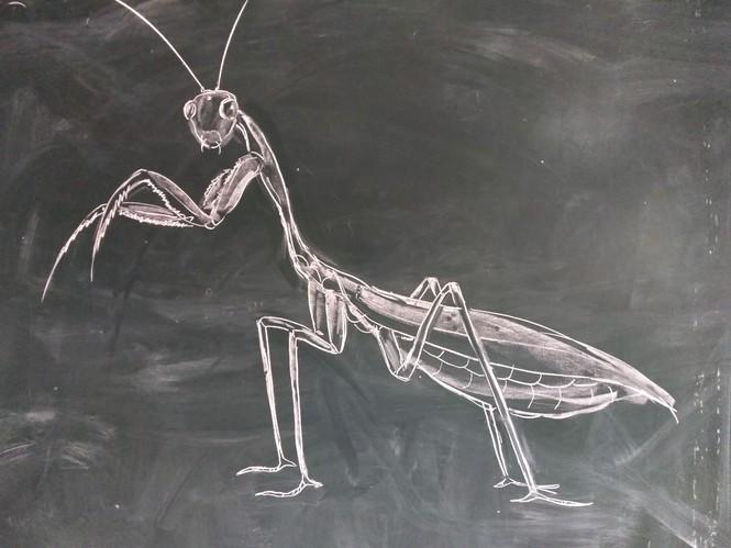 Được biết, Lê Đức Hùng (SN 1988), giáo viên bộ môn Mỹ thuật và làm cán bộ Đoàn Thanh niên Trường THCS và THPT Thống Nhất, thị trấn Thống Nhất, huyện Yên Định (Thanh Hóa)