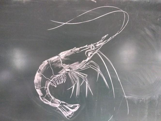 Anh từng thu hút sự chú ý của cộng đồng mạng với nhiều tác phẩm nghệ thuật bằng phấn trên nền bảng về chủ đề phong cảnh quê hương, tranh tĩnh vật