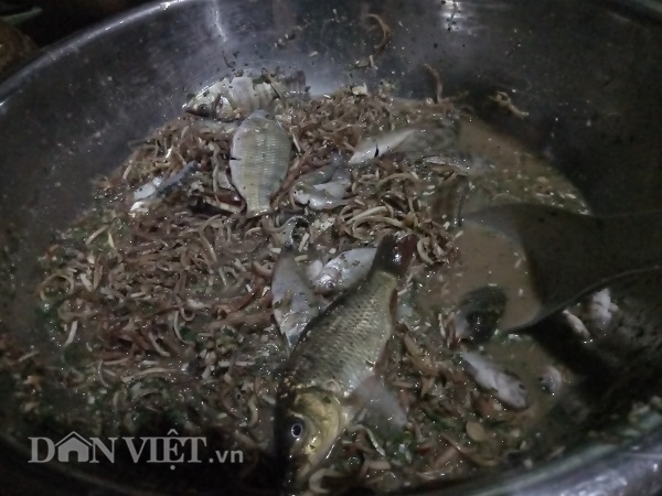 Khi ăn, cá được trộn với gia vị.