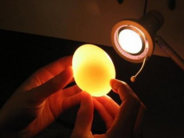 Ẩm thực - Trứng - Sự lựa chọn khi vội mà vẫn ngon