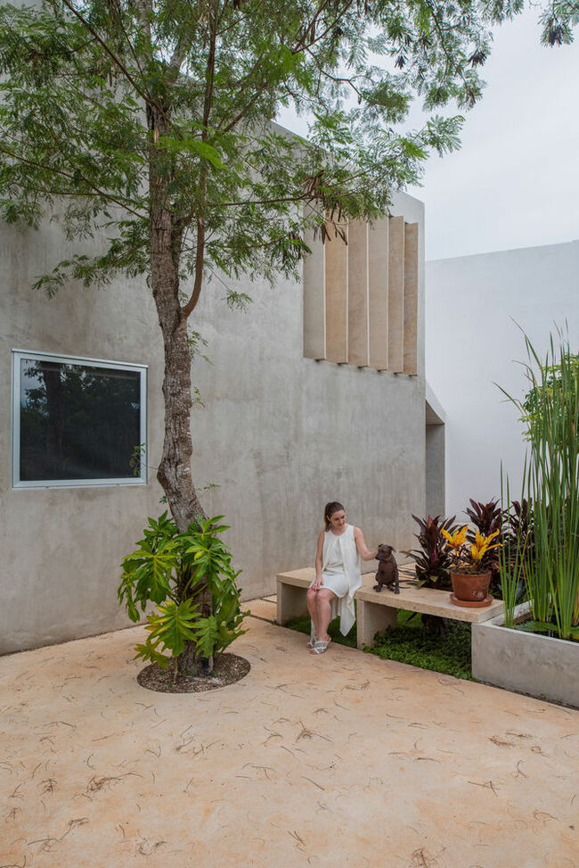 Vợ chồng chủ nhân của ngôi nhà là người lai, mang trong mình nhiều dòng máu và nền văn hóa khác nhau&nbsp;nên họ mong muốn ngôi nhà&nbsp;có thể tích hợp một không gian đa văn hóa, đặc biệt là nền văn hóa Maya cổ đại của Mexico.