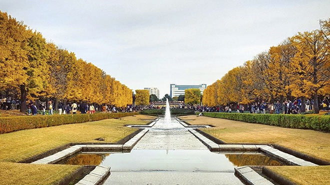 Cattour ra mắt chùm tour mùa thu trên xứ sở mặt trời - 2