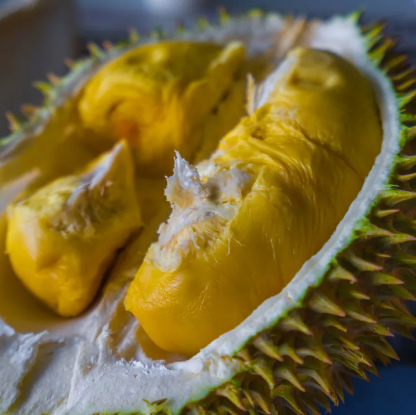 Những món ăn ngon, rẻ nhất Đông Nam Á du khách không thể bỏ qua - 7