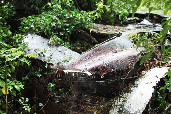 Một chiếc xe cổ Jaguar E-Type đời năm 1964 được tìm thấy bị bỏ trong rừng nhiều năm. Hiện, nó đã được "lột xác" trở thành chiếc xe tuyệt đẹp.