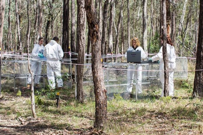 Một "trang trại xác chết" phục vụ nghiên cứu khoa học ở Úc.