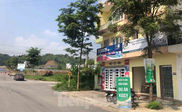 Nhưng thực tế trước cổng vào, các công ty đã giới thiệu mua bán tràn lan trái quy định.