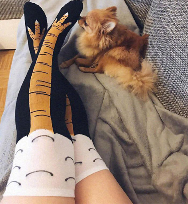 Không biết chân gà này gặm có ngon không nữa?