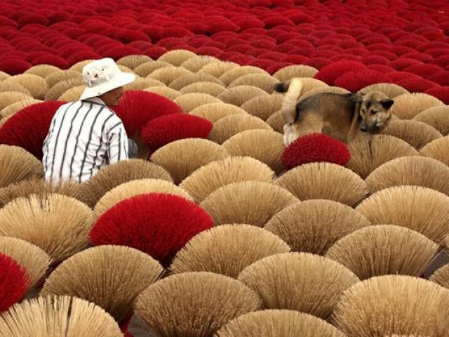 Kinh doanh - Bán hương sang Ấn Độ, doanh nghiệp Việt thu gần 1.800 tỷ mỗi năm