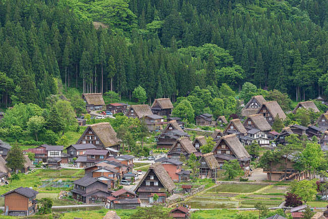 Điều gì khiến thành phố này trở thành một trong những điểm thu hút khách nhất Nhật Bản - 10
