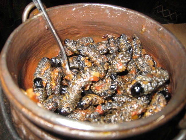 Tại Zimbabwe, những con sâu mopane trở thành đặc sản. Chúng được bán trong các nhà hàng sang chảnh đến các quán ăn bình dân và thậm chí là siêu thị.