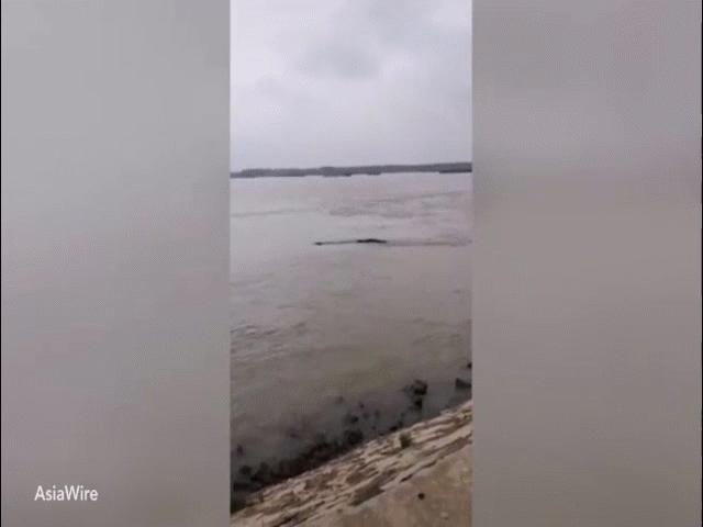 Thế giới - Video mới phóng cận cảnh sinh vật giống rồng xuất hiện ở TQ