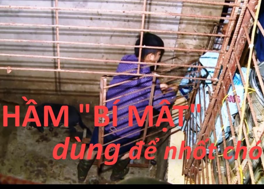 Hầm nhốt chó được phát hiện tại nhà của Lê Thị Phường (xã Xuân Giang, huyện Thọ Xuân)