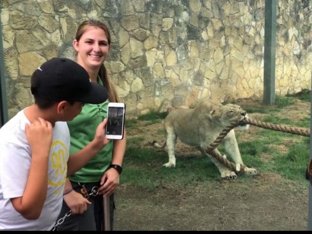 Media - Sức mạnh kinh hoàng của sư tử khi kéo co với đô vật Mỹ