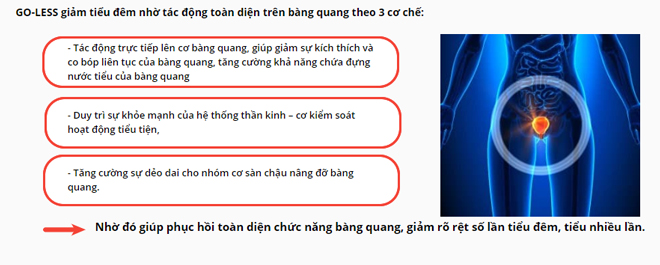 Dấu hiệu đơn giản nhận biết tiểu đêm 2-3 lần do bàng quang tăng hoạt - 3