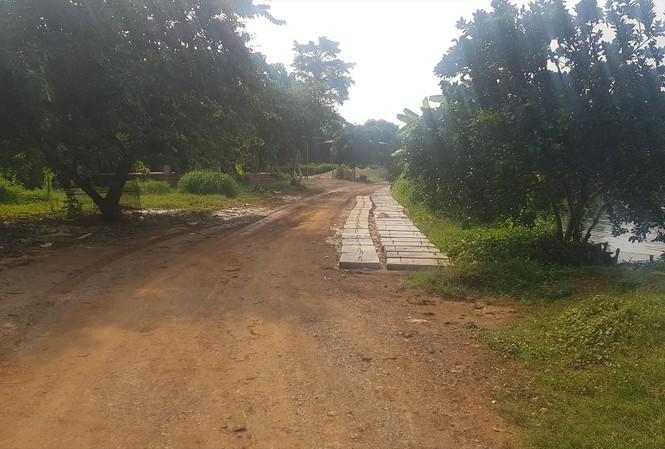 Khu đất được giới thiệu dự án Golden Lake Hòa Lạc (Sơn Tây, Hà Nội) chỉ là nơi đang trồng cây, nuôi cá. Ảnh: Ngọc Mai.