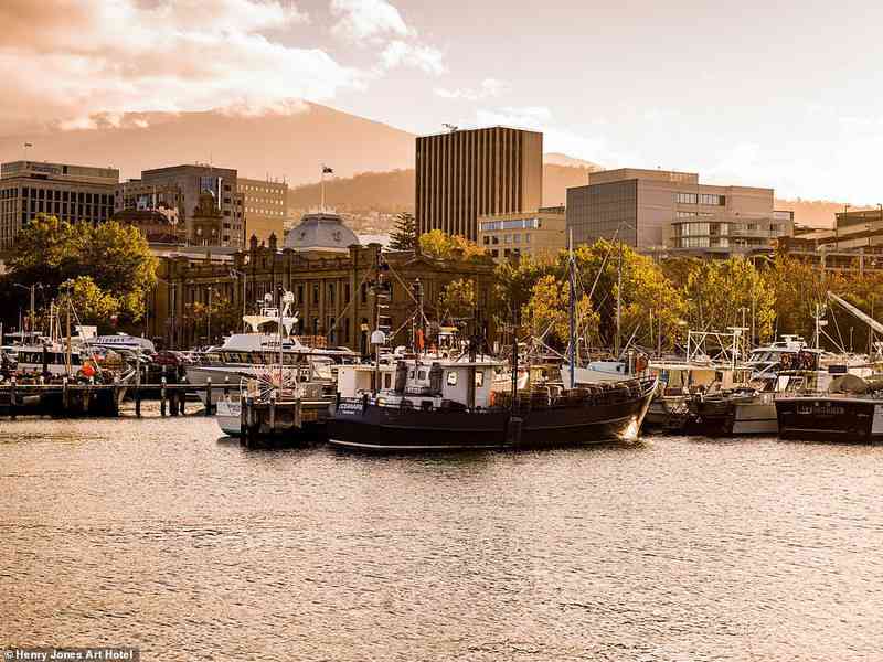 Rượu ở Tasmania được biết đến là nơi sản xuất rượu ngon nhất nhì thế giới. Ảnh: HENRY JONES