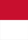 Trực tiếp bóng chuyền nữ Việt Nam - nữ Indonesia: Nỗ lực không thành công (Kết thúc) - 2