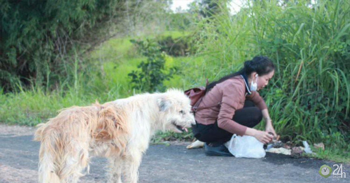 Chú chó đoàn tụ với chủ sau 4 năm trời chờ đợi ở chốn cũ