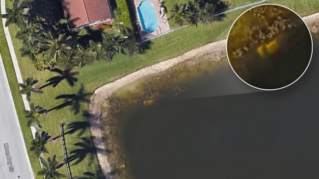 Trong khi sử dụng Google Earth, một cư dân sống tại Wellington, bang Florida đã phát hiện thứ dường như là một chiếc xe hơi chìm trong một hồ nước phía sau nhà (ảnh livescience)