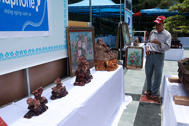 Xuất hiện tại triển lãm cây cảnh, đá quý TP Sầm Sơn (Thanh Hóa), những khối tinh thể nguyên bản chứa hàng trăm viên đá màu đỏ có giá trị lên đến hàng nghìn đô la khiến người xem chú ý.