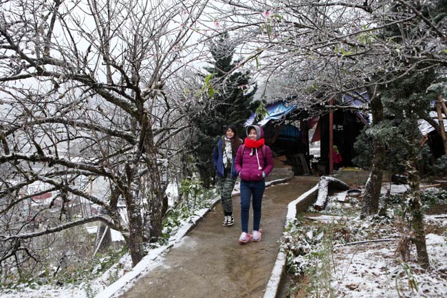 Mùa đông năm 2019 khả năng sẽ ấm hơn mùa đông năm 2018. Ảnh minh họa.