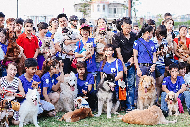 Công viên thú cưng thu nhỏ tại siêu thị chó mèo Pet Mart - 6