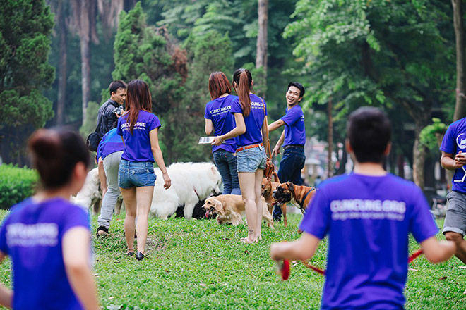 Công viên thú cưng thu nhỏ tại siêu thị chó mèo Pet Mart - 3