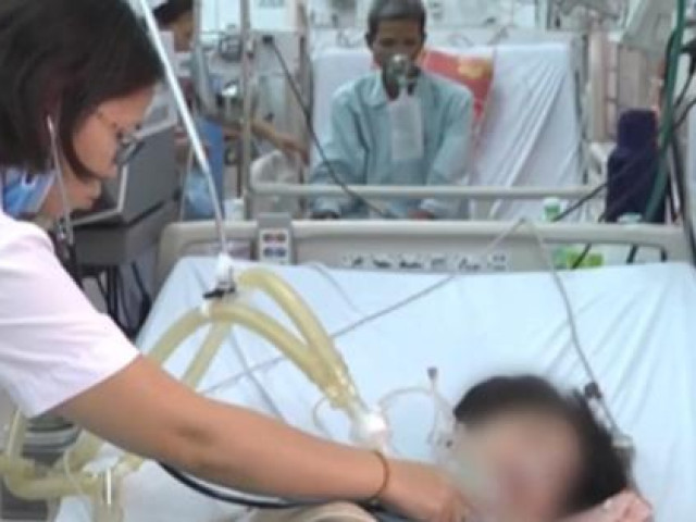 Sức khỏe đời sống - Xử lý vết ong vò vẽ đốt thế nào để không phải trả giá bằng mạng sống?