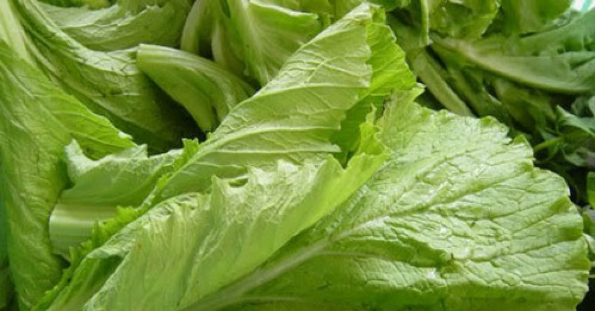 Sức khỏe đời sống - Cải canh làm thuốc, phòng chống cảm mạo, chữa xuất huyết dạ dày