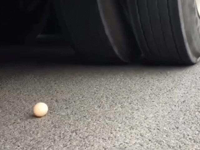 Media - Quả trứng nằm lọt thỏm dưới 6 bánh xe container chuyển động và cái kết