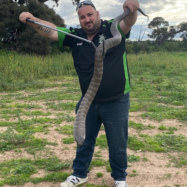 Stewart Gatt khuất phục con rắn hổ dài 1,6 mét. Ảnh:&nbsp;Stewy The Snake Catcher