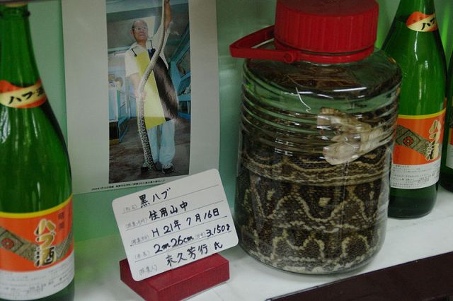 Món ngon hàng đầu châu Á nhưng nhiều du khách sợ hãi không dám ăn - 10