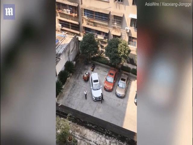 Phi thường - kỳ quặc - Video "tài xế kém nhất năm": Hơn chục lần không lùi được xe vào đúng chỗ và cái kết