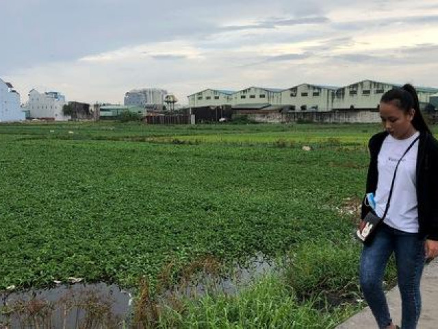 Tin tức trong ngày - Vạch mặt nhiều công ty bán dự án ma như Alibaba