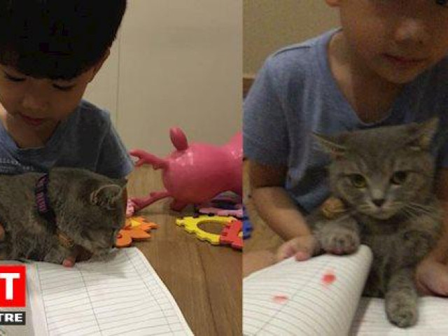 Giáo dục - du học - Sợ phụ huynh đọc được sổ liên lạc, bé trai bắt "hoàng thượng" ký tên hộ để nộp cô