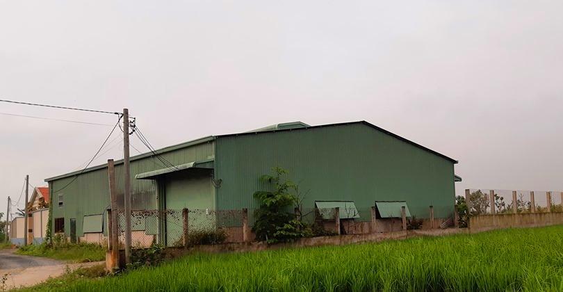 Xa hơn về phía xưởng sản xuất là trại vịt của Trần Văn Dũng. Trại được xây dựng trên diện tích rộng nhiều ha. (Ảnh: Hà Nguyễn).