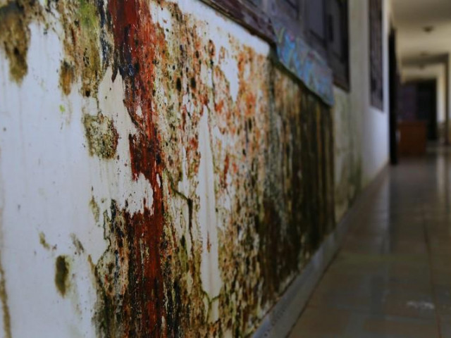 Tin tức trong ngày - Cận cảnh trung tâm văn hóa chục tỉ chưa quyết toán đã hỏng