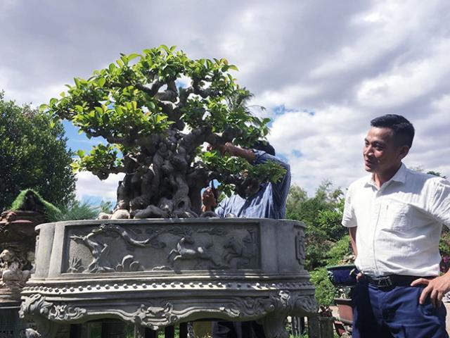 Thị trường - Tiêu dùng - Si đỏ hơn 100 năm tuổi, đại gia trả tiền tỷ cũng không mua được